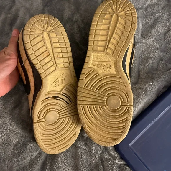 Nike trickstar dunk